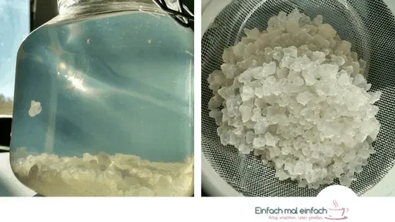 Probiotische Limonade aus Wasserkefir - Bild 4
