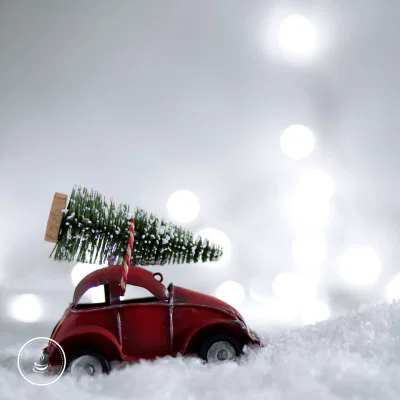 Weihnachtsdeko sinnvoll verstauen