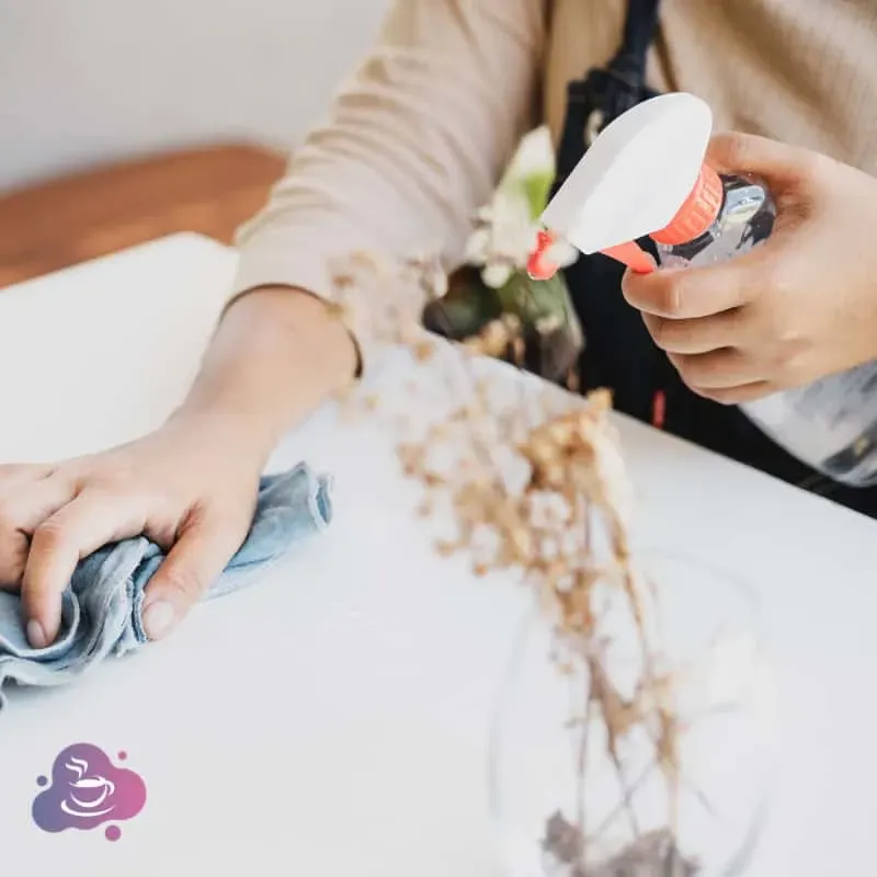 Frau reinigt sorgfältig mit Spray und Schwamm für ein sauberes Zuhause.