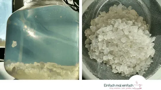 Probiotische Limonade aus Wasserkefir - Bild 4