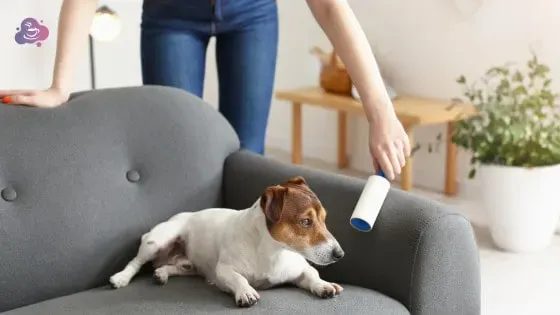 Die 13 besten Tipps für schnelles Putzen - Bild 4