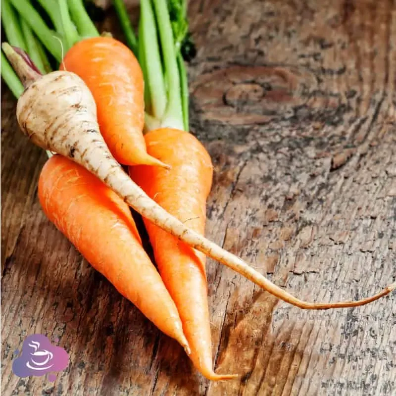 Haltbare Gemüsepaste - Die Alternative zu Brühwürfeln! - Bild 2