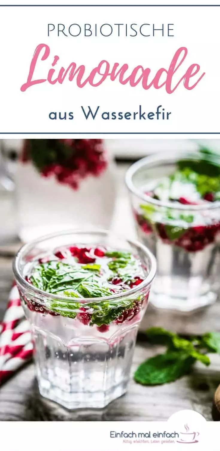 Probiotische Limonade aus Wasserkefir - Bild 5