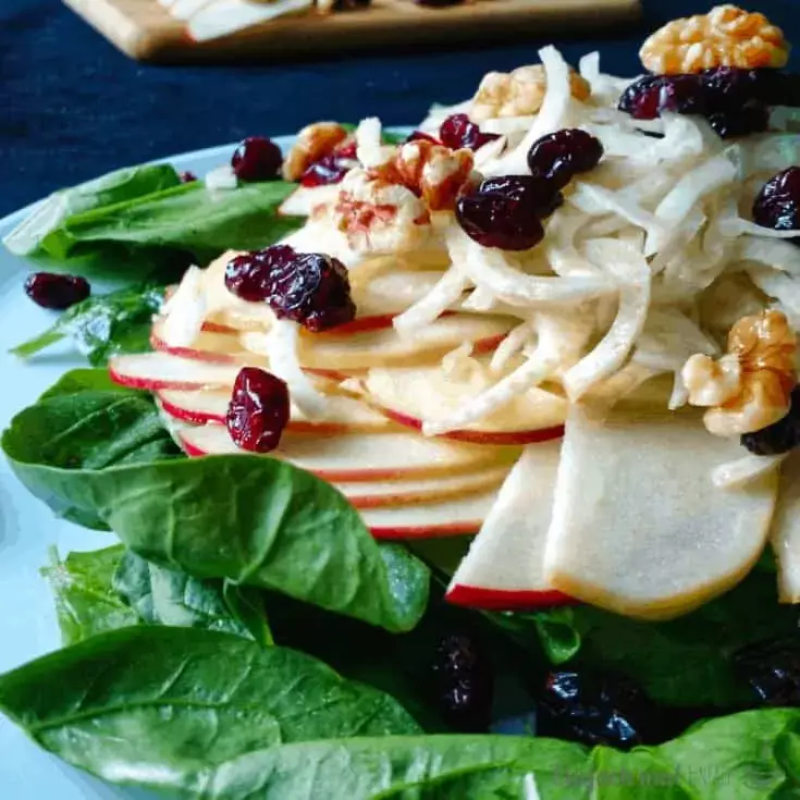 Spinatsalat mit Fenchel, Apfel, Walnüssen & Cranberrys