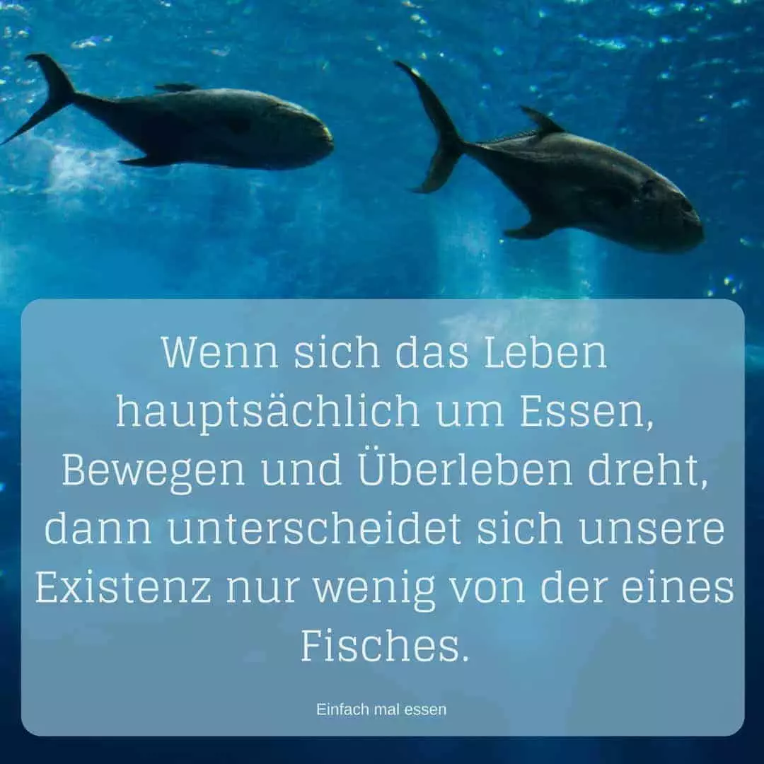Warum Diäten mehr schaden als nützen - Bild 2