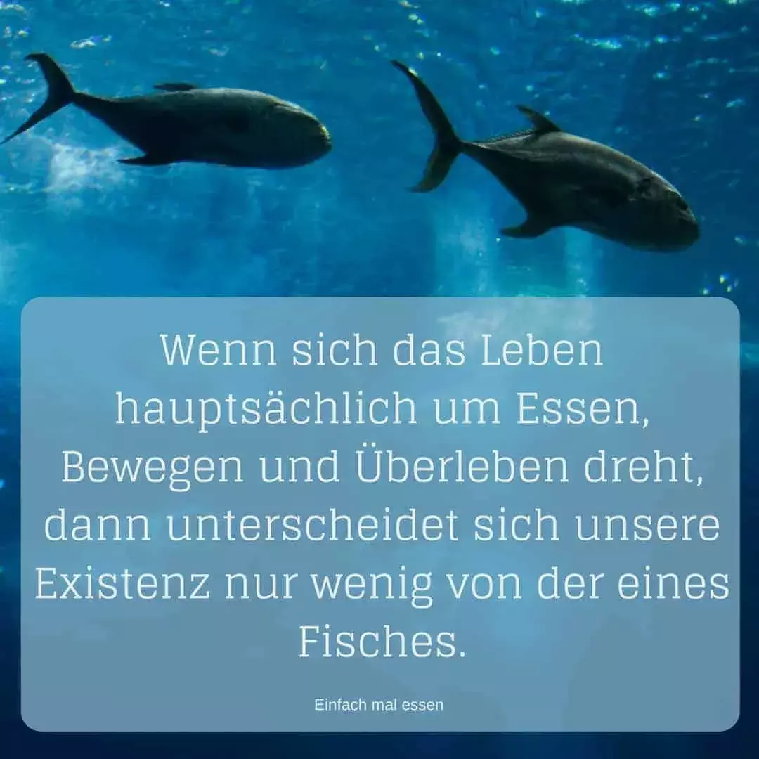 Warum Diäten mehr schaden als nützen - Bild 2