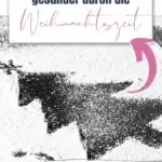 Zuckerersatz zu Weihnachten