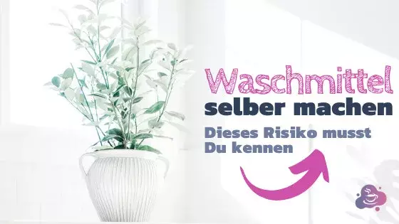 Waschmittel selber machen: Dieses Risiko musst du kennen - Bild 5
