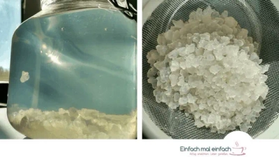 Probiotische Limonade aus Wasserkefir - Bild 3