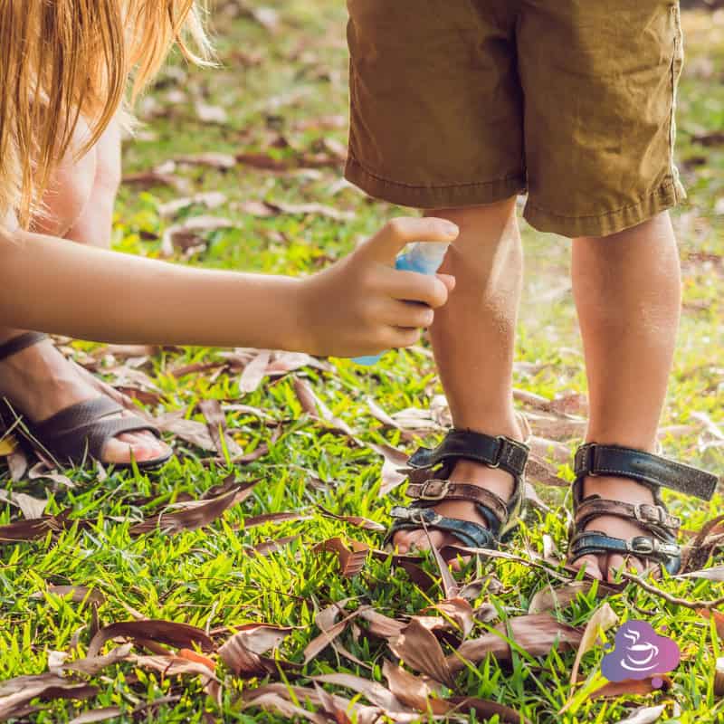 Mückenspray selber machen - für Kinder und Erwachsene - Bild 2